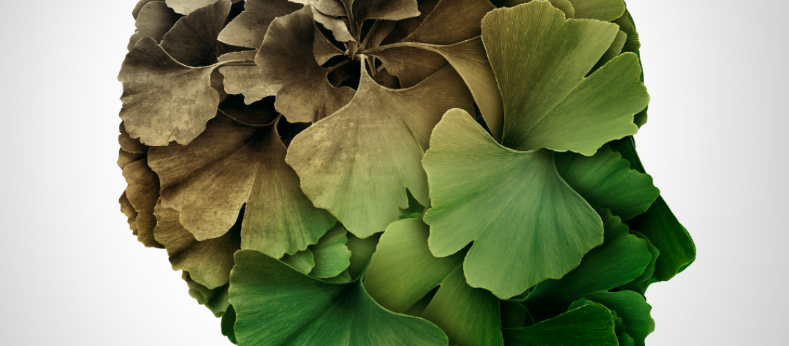 Can Alzheimer’s be Prevented Can Alzheimer's be Prevented