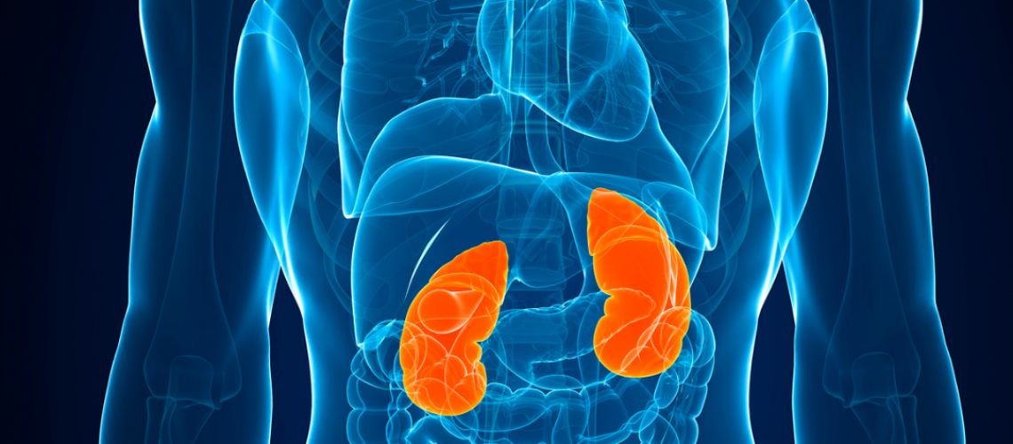 Kidney Health Kidney Health